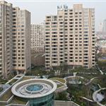 ����ï������