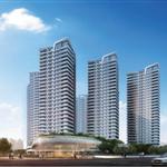 �׿�����������