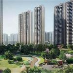 ·��������